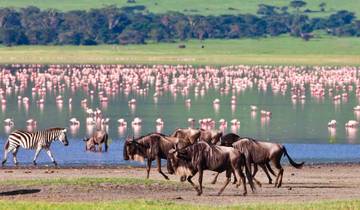 Safari exclusif de 7 jours au Kenya : Aventures luxueuses en pleine nature circuit