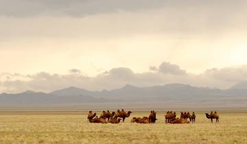 Mongolei und die Goldene Wüste Gobi