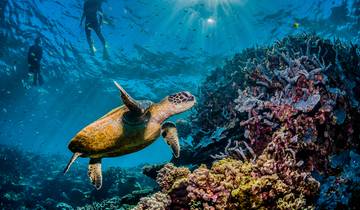 Lo mejor de Cairns, gran Barrera de Coral y Daintree (22 destinations)