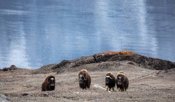 13 Day Arctic Eclipse Itinerary, incl. Iceland and Greenland