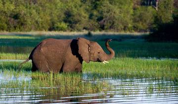 Safari de 18 días por Kenia, Tanzania y Uganda con excursión a la playa de Zanzíbar 2025