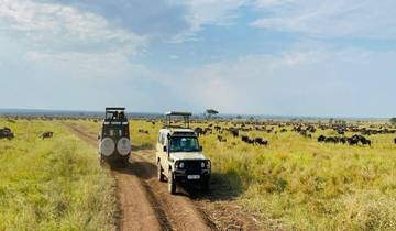 Erleben Sie Tansania Big Five & Großkatzen Safari Rundreise