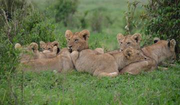 11 jours de safari en voiture de luxe au Kenya et visite de la plage de Watamu 2025 circuit