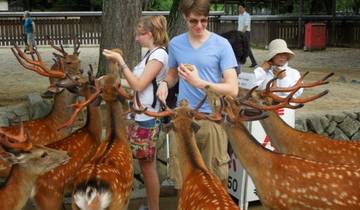 7 Day Japan's Kanto Gastronomic Journey （Private Guide and Driver）