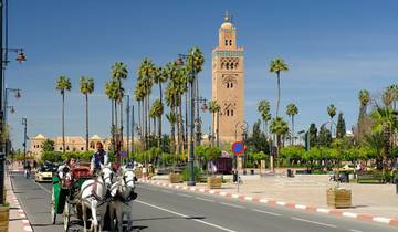 Circuito Tour Privado de 7 Días de Casablanca a Marrakech (Visitando Casablanca, Rabat, Chefchaouen, Fes, Desierto de Merzouga y Marrakech)