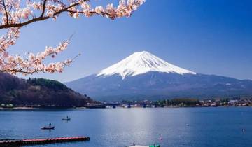 7 Day Japan's Cherry Blossom Festival（Private Family Tour ）- Umetravel