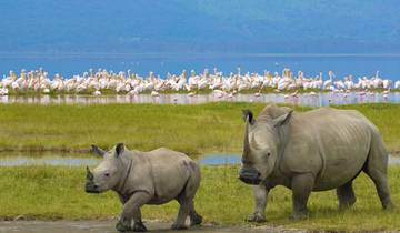 5 jours Kenya moyenne gamme Rejoindre le safari 2025/2026 circuit