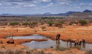 15 Tage Kenia Safari mit geteilten Fahrzeugen und Watamu Beach Tour Rundreise