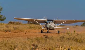 12 dagen Kenia en Tanzania hoogwaardige vliegsafari-rondreis