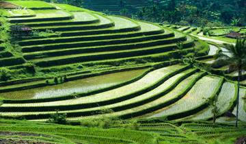 10 jours d\'évasion à Bali : Temples, nature sereine et cuisine biologique circuit