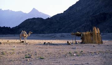 HURGHADA DESERT BEDOUIN VILLAGE JEEP SAFARI A travers les sables de la Terre Rouge