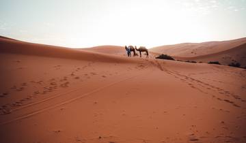 Randonnée dans le désert du Sahara et camping sauvage circuit