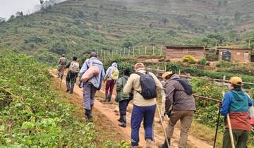 Erleben Sie Ruanda Gorilla Trekking & Tansania Migration Safari