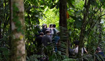4 jours d'exploration de la jungle amazonienne à Napo