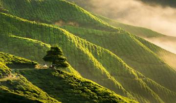 Maleisië van dichtbij: Van straten naar bergtoppen