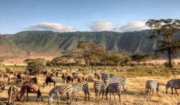 8 Tage Amboseli, Lake Manyara, Serengeti, Ngorongoro & Tarangire Budget Safari Rundreise