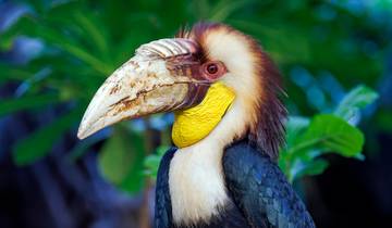 15 Days Malaysia Island Borneo: National Parks and Bounty Hunters