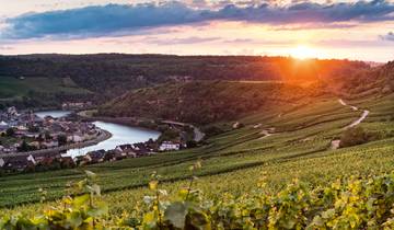 Saar & Moselle Fairytales (Cologne - Cologne, 9 destinations)