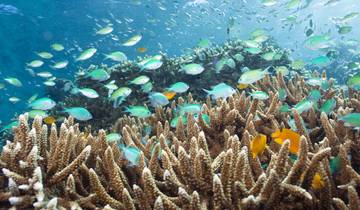 Aventure jeunesse à Bali - 12 jours Tour