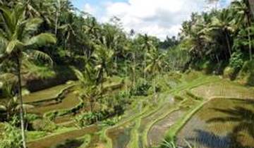 Avontuur Bali - 12 dagen-rondreis