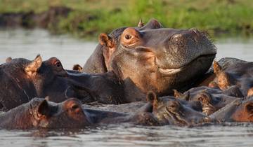 Okavango & Chobe Discovery (Accommodated) - 8 days