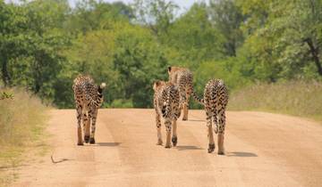 Aventura definitiva de golf y safari en Sudáfrica 12 días /11 noches