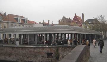 5 Days in Netherlands & Belgium, incl. Amsterdam and Bruges