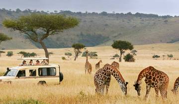 Escapade de 12 jours tout compris dans un safari de luxe et à la plage circuit