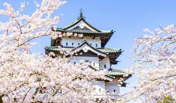 21 Day Japan Itinerary, incl. Tokyo and Kyoto
