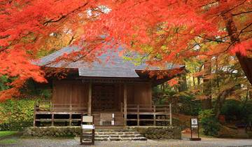 21 Day Japan Itinerary, incl. Tokyo and Kyoto