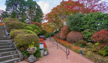 La belleza de Corea y Japón con Fuji