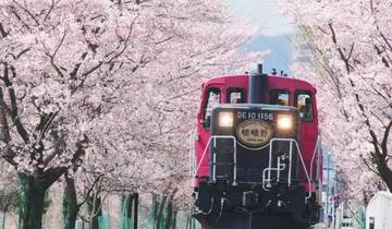 11 Daagse Panoramisch Midden-Japan (privégids en chauffeur)