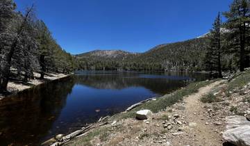 California National Park Circle: Sand to Snow, Joshua Tree, Death Valley and Yosemite