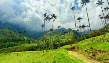 Circuito Viva Colombia: ¡Café, colores y vibraciones caribeñas! (7 destinations)