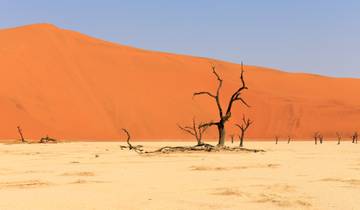 21 Day Southern Africa Itinerary, incl. Cape Town and Victoria Falls