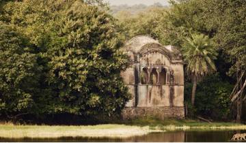 Majestic Tiger Trails: A 3-Day Luxury Ranthambore Safari from Delhi or Jaipur Tour