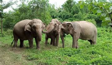 3 Days Kanchanaburi Highlights Private Tour