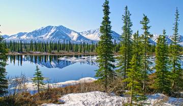Alaska Discovery Land & Cruise avec une croisière de 7 nuits de Holland America (de Fairbanks, AK à Vancouver, BC) (2026)