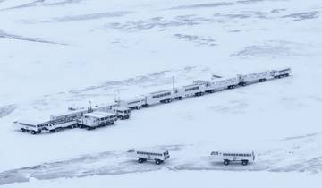 7 Day Churchill Itinerary, incl. Winnipeg and Polar Bear Point