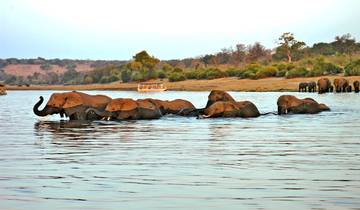 Expreso de 8 días por el Delta del Okavango y Chobe (Camping)