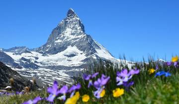 12 Days in Switzerland, incl. Zurich and Bern