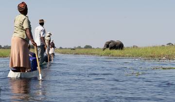 Expreso de 8 días Chobe y Delta del Okavango (Camping)