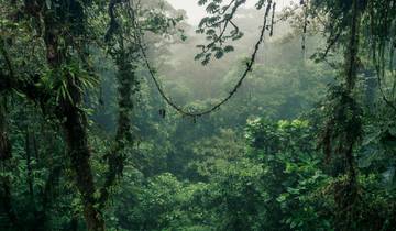 12 Days in Costa Rica & Panama, incl. San José and Panama City