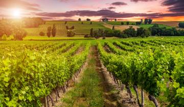 Burgundy & Alsace: Vineyards, Villages & Heritage