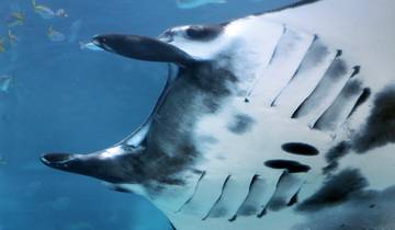 Circuito Bali, Lombok y Komodo - 19 días