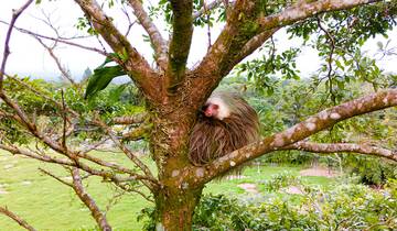 30 Days in Central America, incl. Mexico and Costa Rica