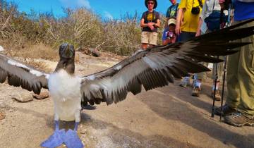 Ecuador y Galápagos: 8 días de magia natural