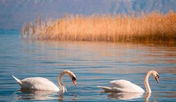 From Tirana, Day Tour: UNESCO site Ohrid Lake and Saint Naum Monastery Tour