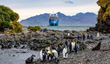 Antarctica, South Georgia & Falklands Explorer - 19 dagen