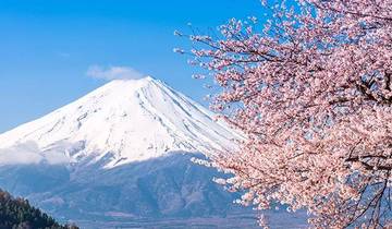 Off-Beat Japan Tour